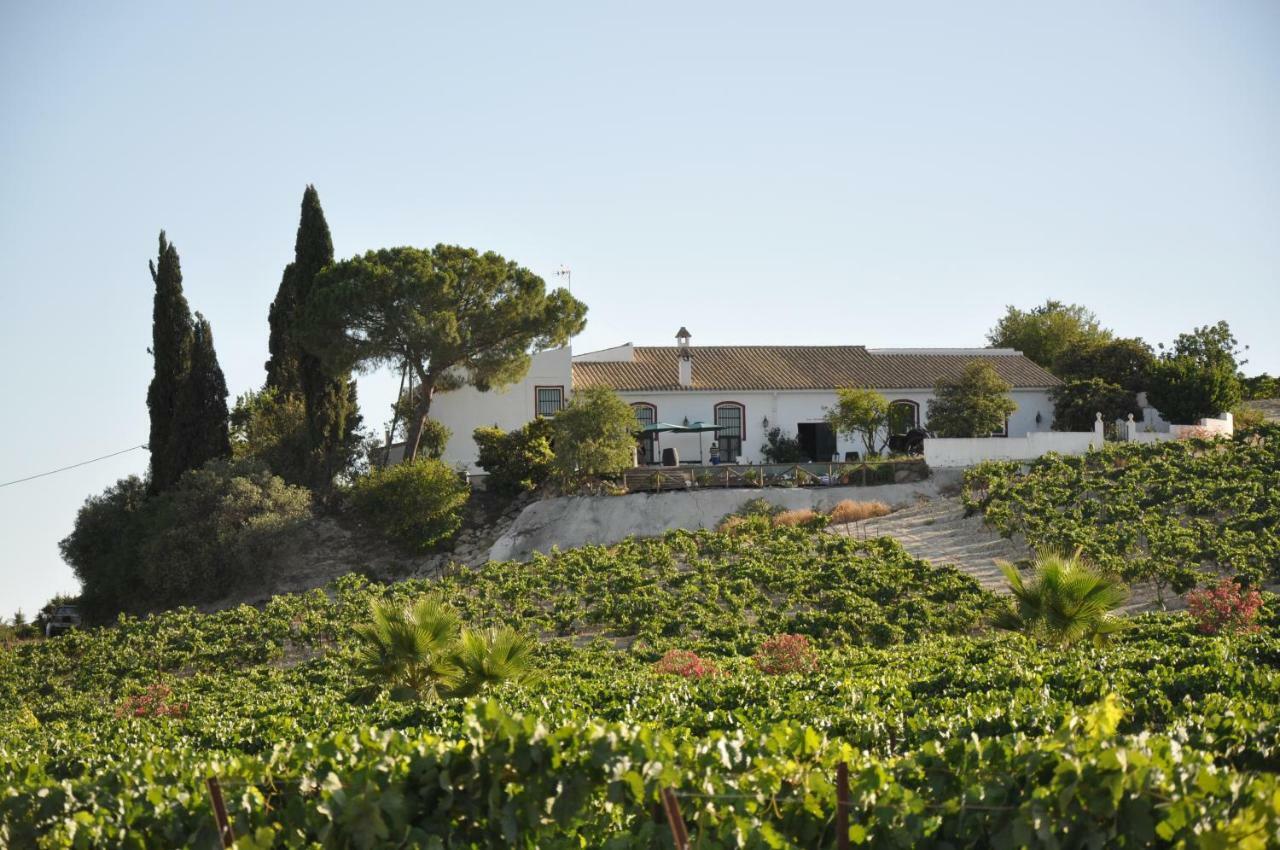 Jerez Vina Santa Petronila Pensionat Jerez de la Frontera Eksteriør billede